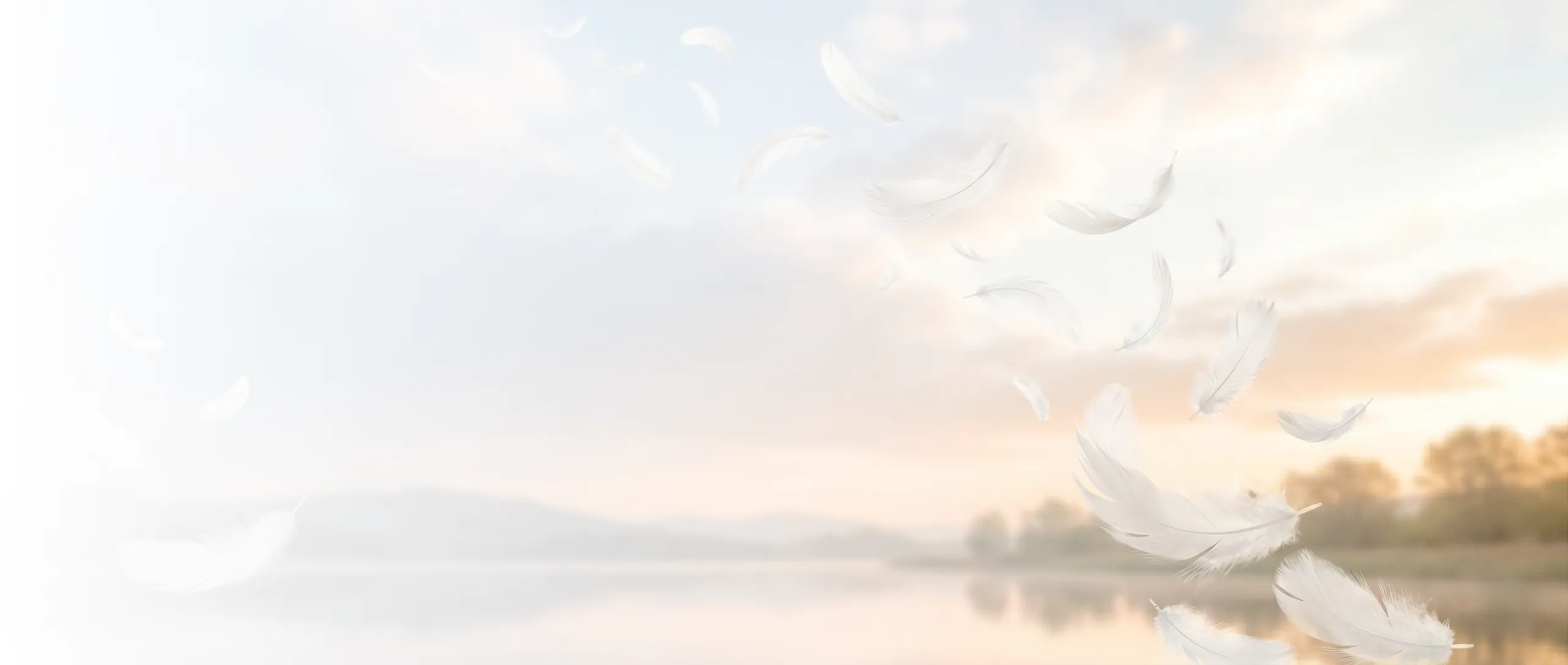 Soleil couchant, avec des plumes blanches légères volant dans l'air.